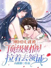 刚回国,就被顶级财阀拉着去领证