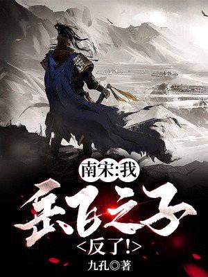 南宋:我,岳飞之子!反了!